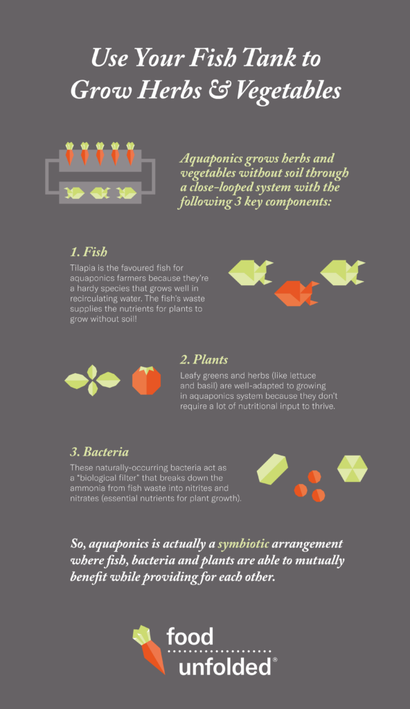 Advantages Of Aquaponics In Sustainable Food Production