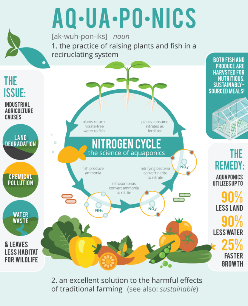 Advantages Of Aquaponics In Sustainable Food Production