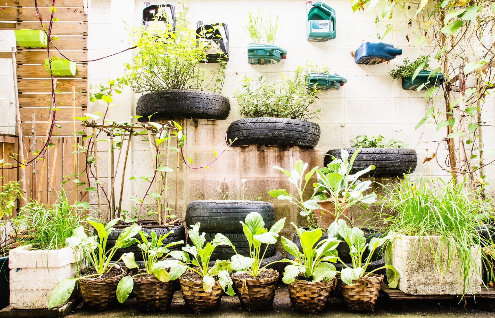 Making The Most Of Small Spaces: Urban Gardening For Preppers