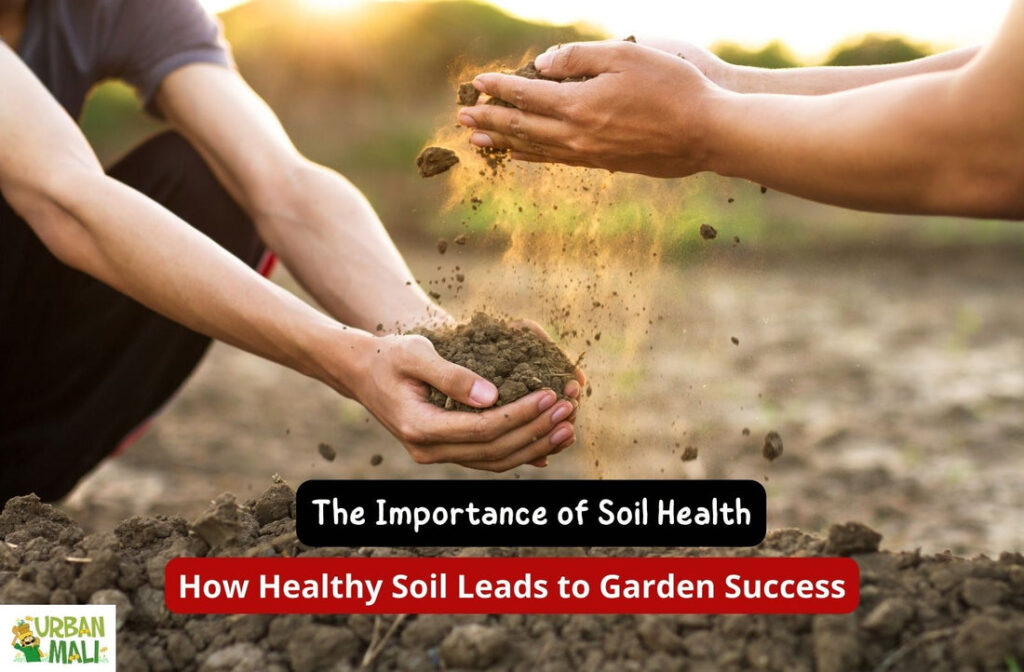 The Importance Of Soil Health In Sustainable Gardening