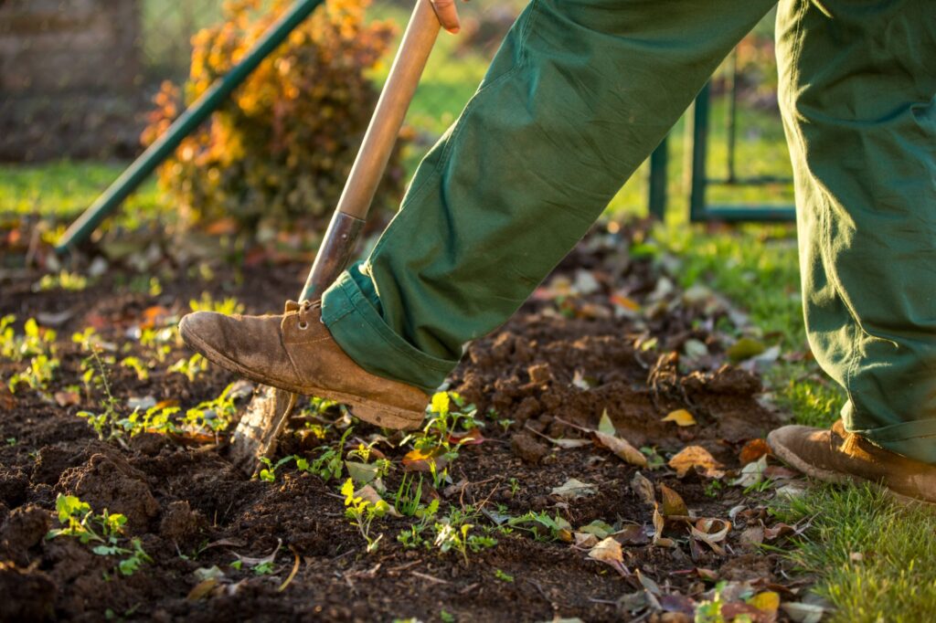 The Importance Of Soil Health In Sustainable Gardening