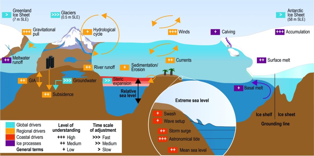 Prepping For Sea-Level Rise: Coastal Survival Strategies