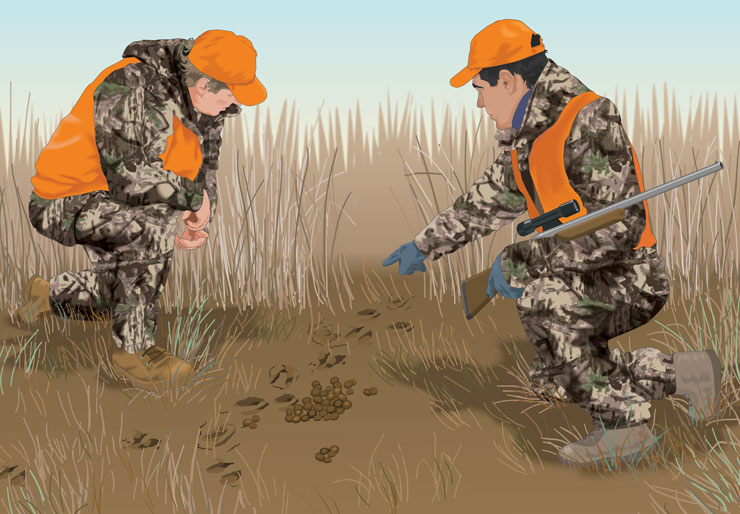 The Basics Of Safe And Responsible Hunting For Food