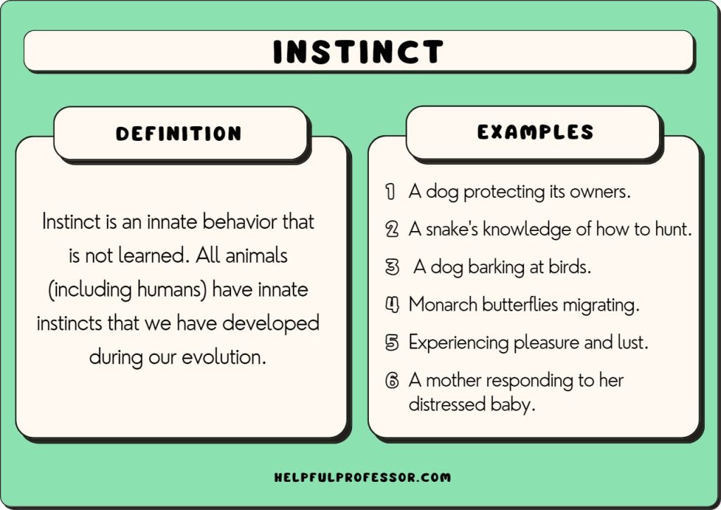 The Psychology Behind Survival Instincts And How To Harness Them