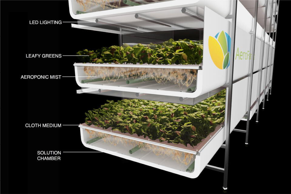 The Future Of Food: Innovations In Hydroponics And Aquaponics For Preppers