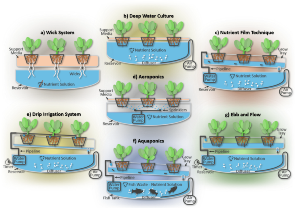 The Future Of Food: Innovations In Hydroponics And Aquaponics For Preppers