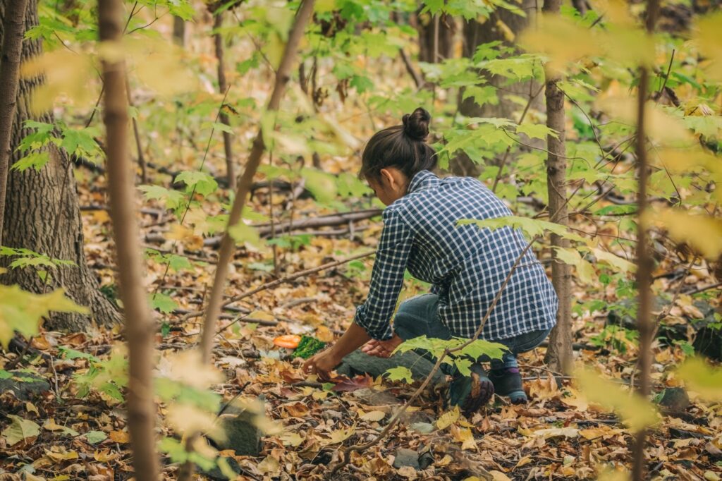 Developing A Sustainable Foraging Strategy For All Seasons