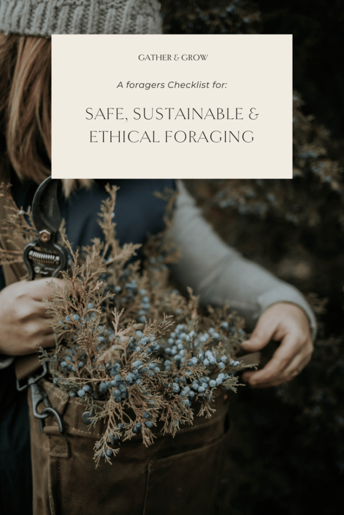 Developing A Sustainable Foraging Strategy For All Seasons