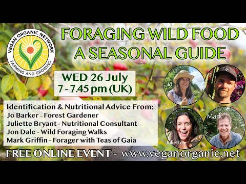 Developing A Sustainable Foraging Strategy For All Seasons