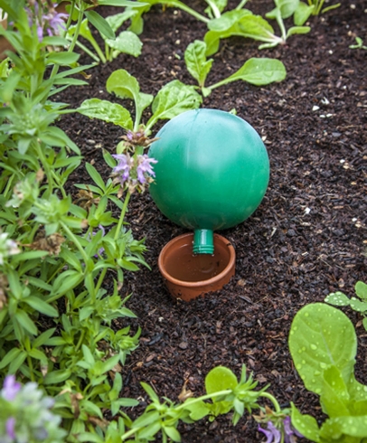 How To Create A Water-Efficient Garden For Year-Round Food Production