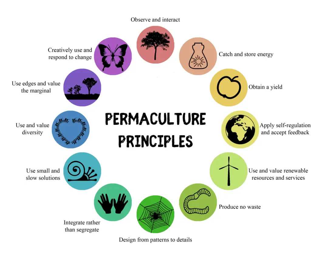 Integrating Permaculture Principles Into Prepping Practices