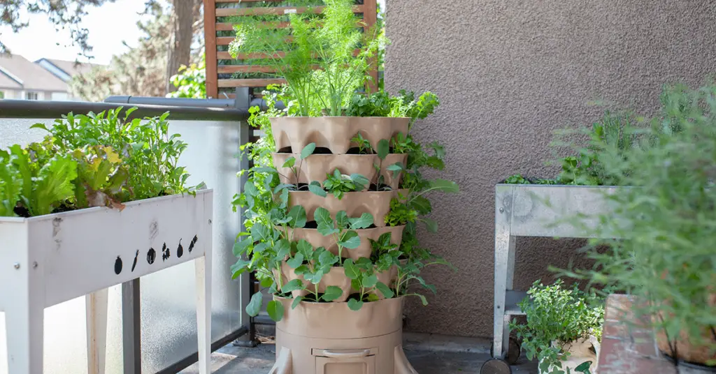 Maximizing Small Space Gardens For Year-Round Food Supply