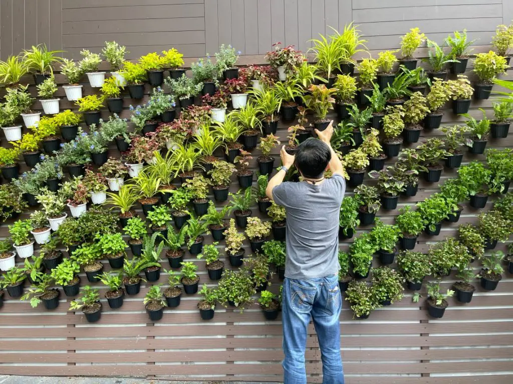 Maximizing Small Space Gardens For Year-Round Food Supply