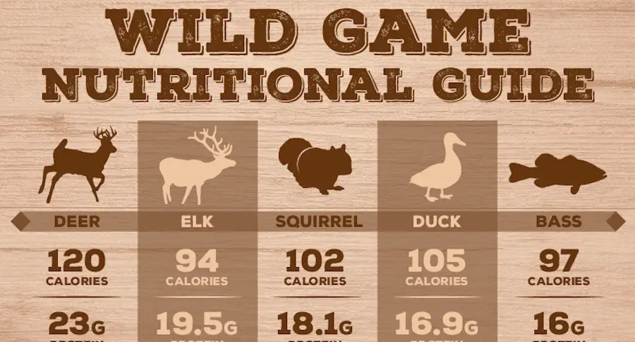 Understanding The Nutritional Value Of Wild Edibles And Game