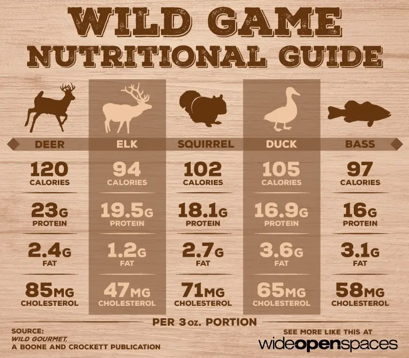 Understanding The Nutritional Value Of Wild Edibles And Game